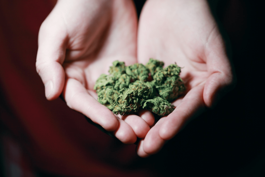 7 Qualities That the Best Online Weed Delivery Should Have