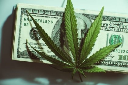 Growth of the cannabis industry