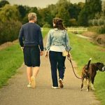 Which Pet is Right for You? 3 Great Options to Consider