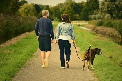 Which Pet is Right for You? 3 Great Options to Consider