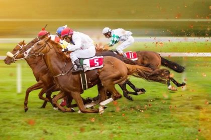 Bookie Software Programs for Betting Business