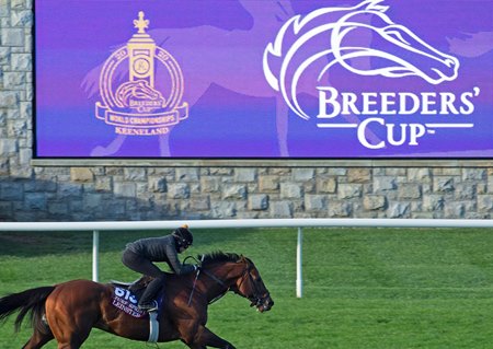 Who are the favourites for November's Breeders Cup?