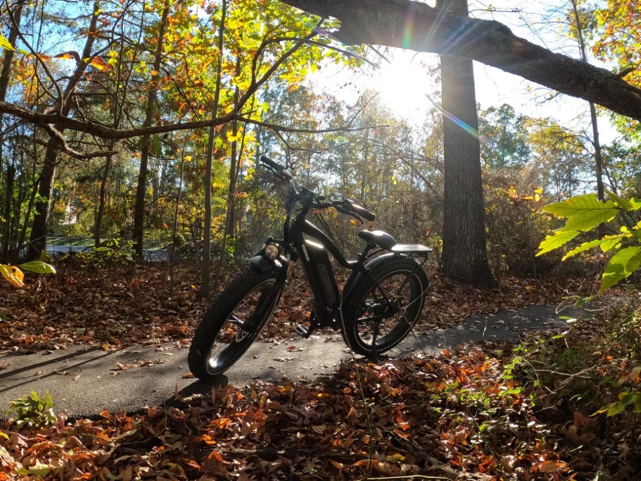 TEST RIDE SEVERAL BIKES