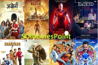 SD Movies Point Alternatives