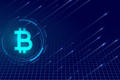 What Are Crypto Wallets?
