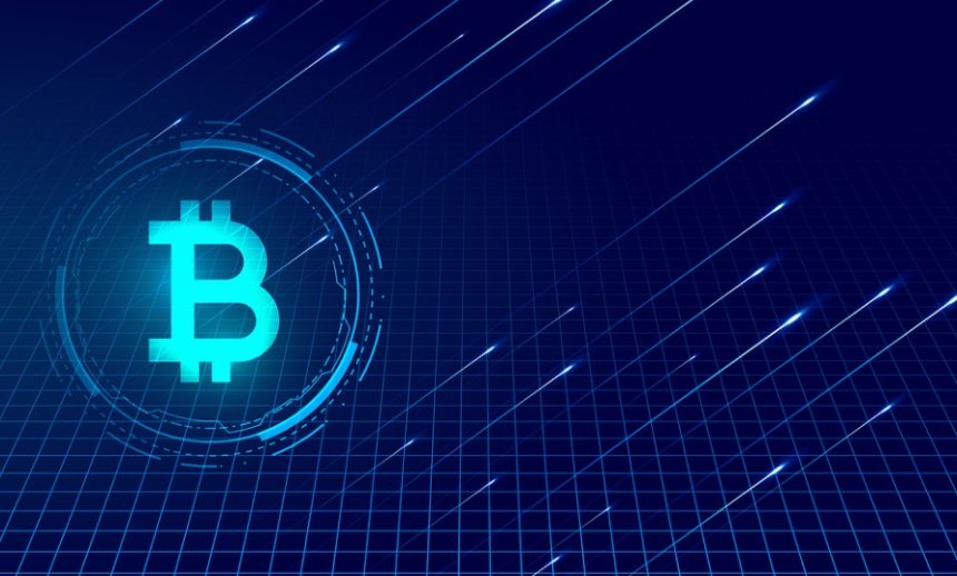 What Are Crypto Wallets?