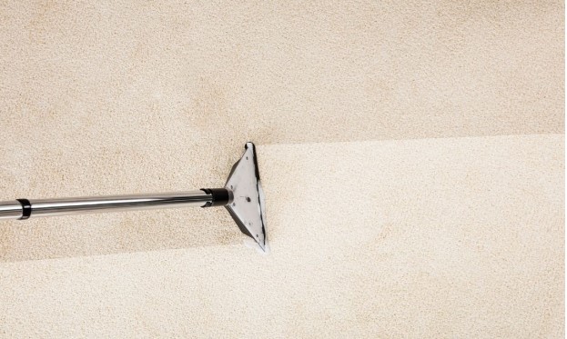 The Best Season to Do Carpet Cleaning? Carpet Bright UK