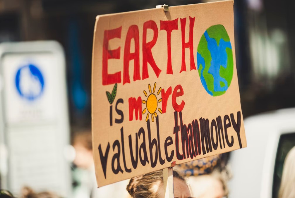 The 5 Pitfalls You Must Avoid When Creating an Eco-Friendly Brand
