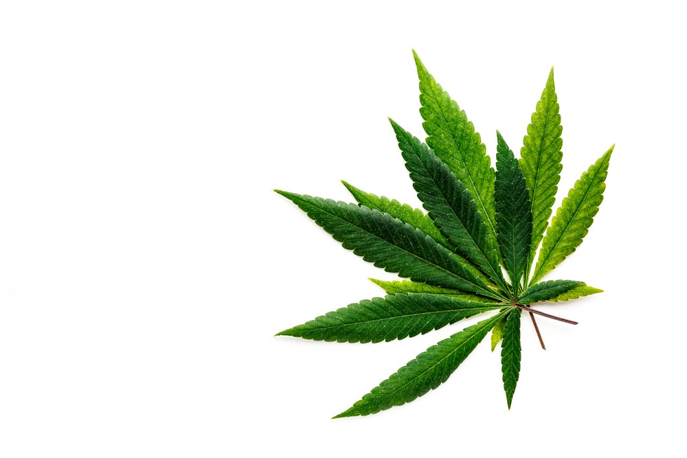 The Outdated Nomenclature of Cannabis