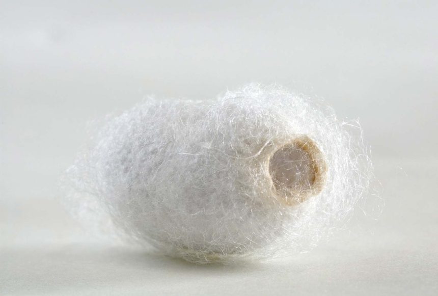 How To Wash and Take Care of Silk