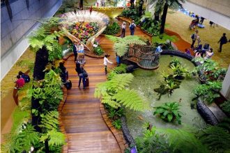 Popular Free Attractions at Changi Airport