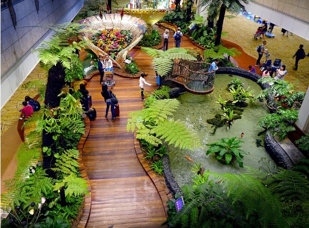 Popular Free Attractions at Changi Airport