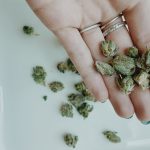 CBD for Women: 4 Exciting Health Benefits of Using It