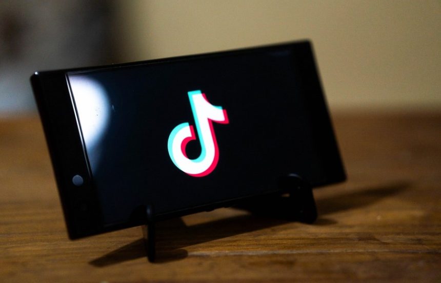 Trollishly on Using TikTok for Marketing