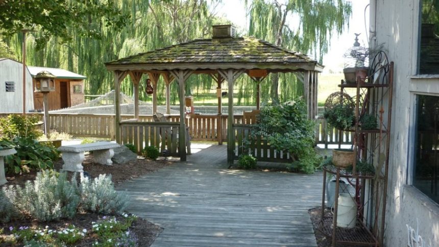 Backyard Upgrades That Can Boost the Value of Your Home
