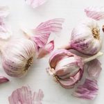 Garlic Harvesting and Storage