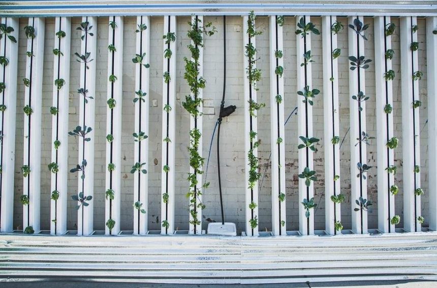 6 Home Improvements That Are Important For Your Health