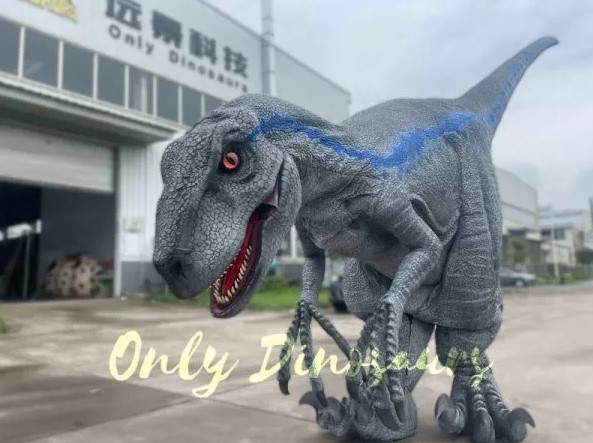 Creative Ways to Plan a Dinosaur Themed Birthday