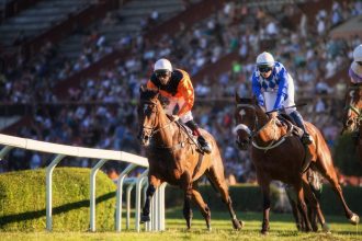 The definitive guide to the Cheltenham Festival’s biggest races