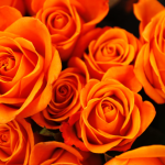 wedding decor flowers