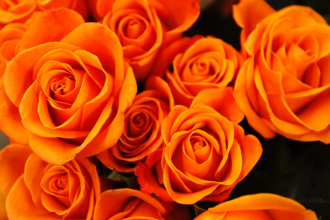 wedding decor flowers