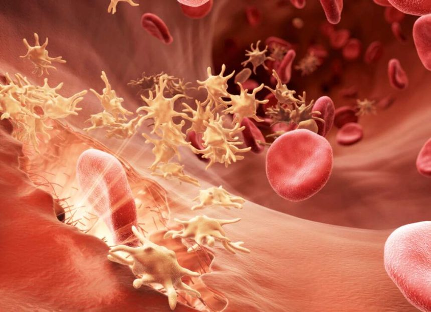 Utilizing 3D Medical Animations Effectively For Medical, Pharmaceutical, and Healthcare Services
