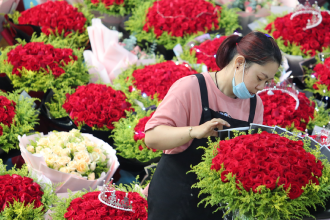 Bloom flowers in Thailand