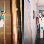 When Do I Need a Mold Removal Specialist?