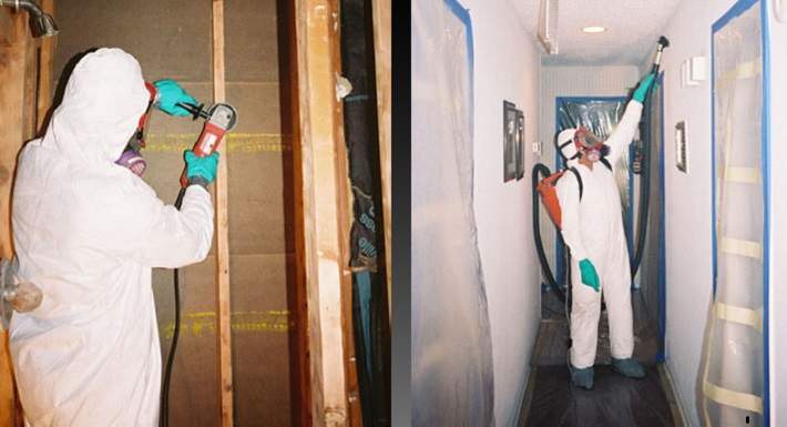 When Do I Need a Mold Removal Specialist?