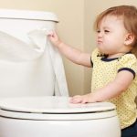 Why should not flush anything down the toilet