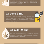 Explaining All The Different Delta Variations And THC-O