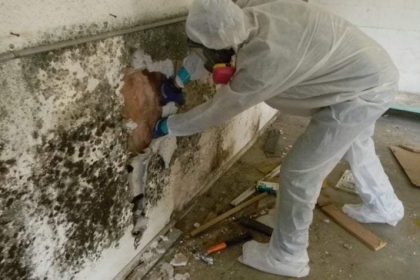 Significance of Removing Mold