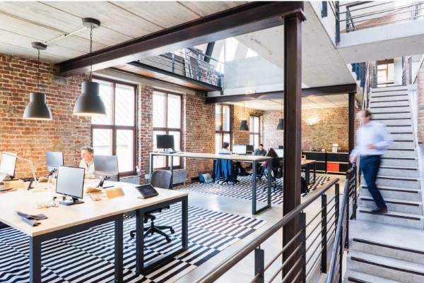Understanding the company's culture