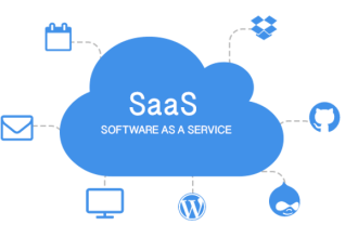 Business model in tandem with Saas development