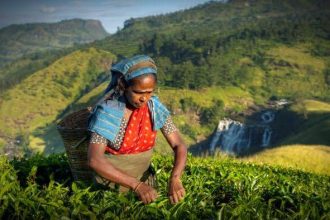 Indigenous Land and People