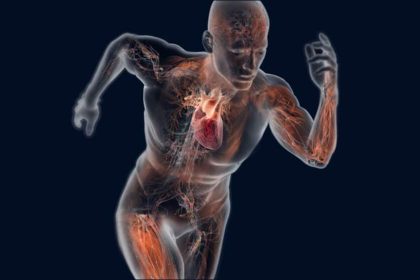 Exercise Physiology
