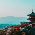 7 Top Reasons to Learn the Japanese Language