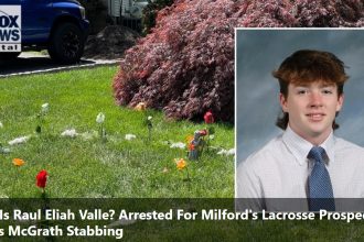 A suspect in the stabbing murder of lacrosse player James McGrath, who was from Connecticut, has been identified as a 16-year-old boy.