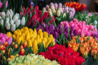 6 Reasons to Add Goodness of Flowers To Your Workspace