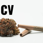 How Does THCV (Tetrahydrocannabivarin) Work?