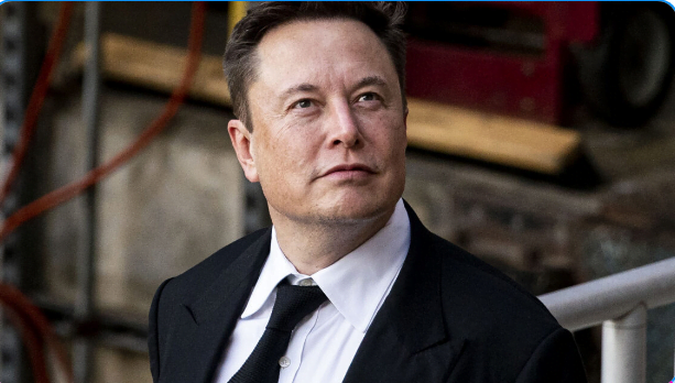 Who Is The Tycoon Elon Musk?