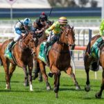 Melbourne Cup: Betting On The Cup