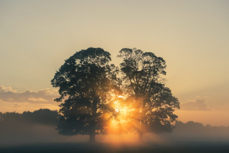 What Do Aries Have To Look Forward To This Summer?