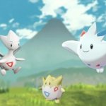 How to Evolve Togepi Legends Arceus