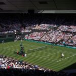 Wimbledon 2022 Men’s Singles: The Main Contenders