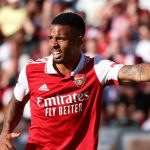 Former Arsenal Star excited by Arsenal's new signing.