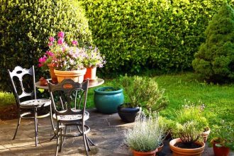 4 Tips for a Thriving Home Garden