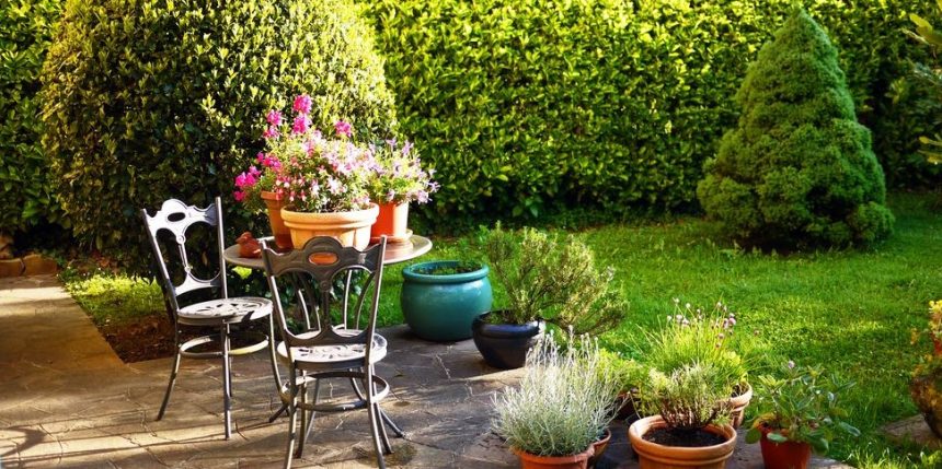 4 Tips for a Thriving Home Garden