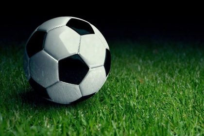 Things to Know About Artificial Turf