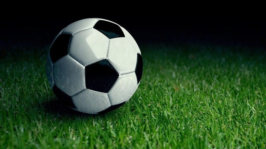 Things to Know About Artificial Turf